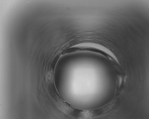 X0000077380425200610271951