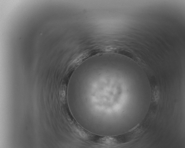 X0000077380427200610271951