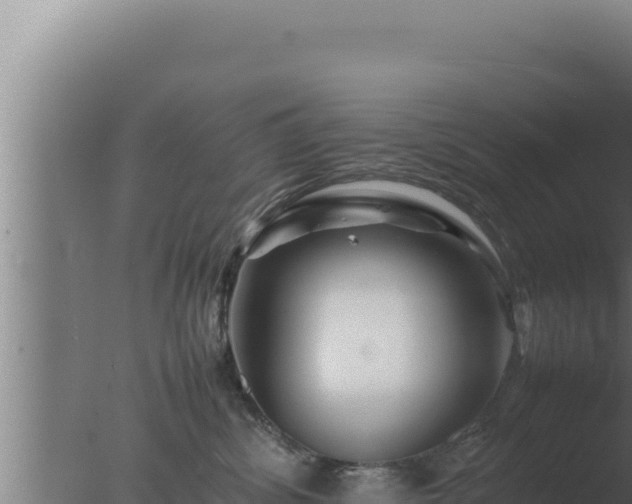 X0000077380428200610271951