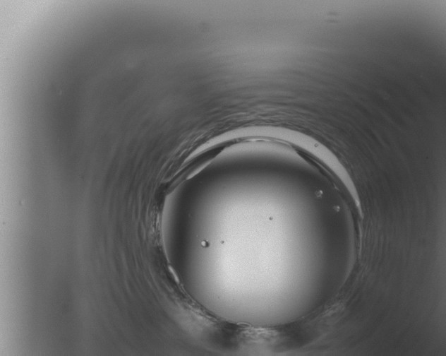 X0000077380429200610271951