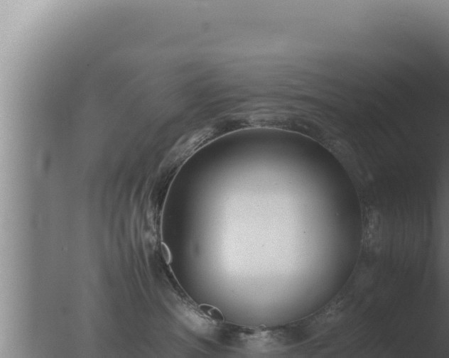 X0000077380430200610271951