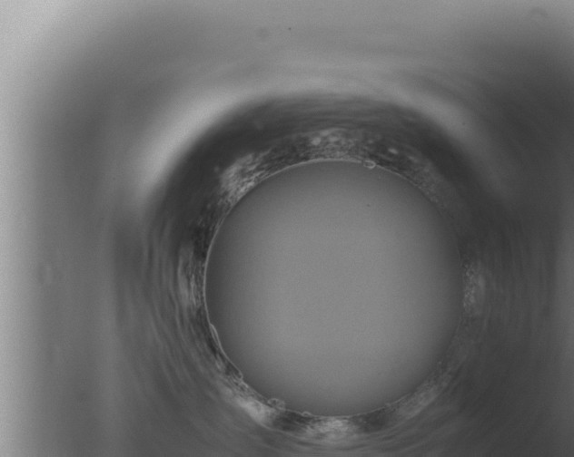 X0000077380431200610271951