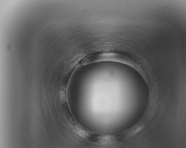 X0000077380432200610271951