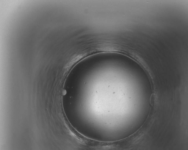 X0000077380433200610271950