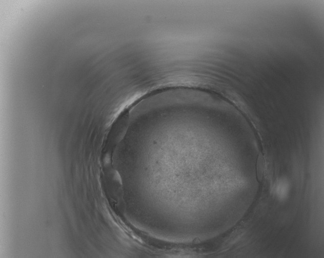 X0000077380434200610271950