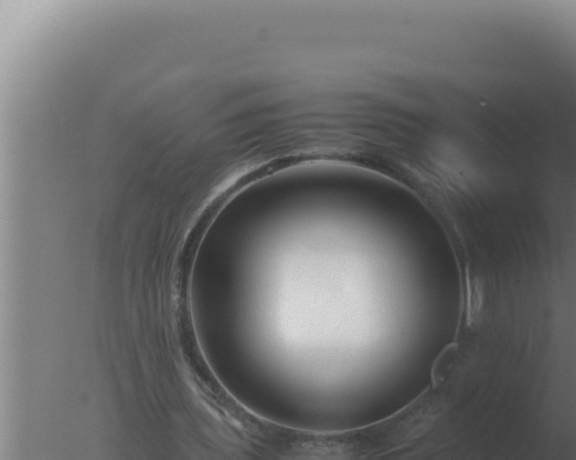 X0000077380435200610271950