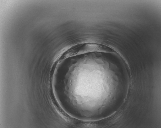 X0000077380437200610271950