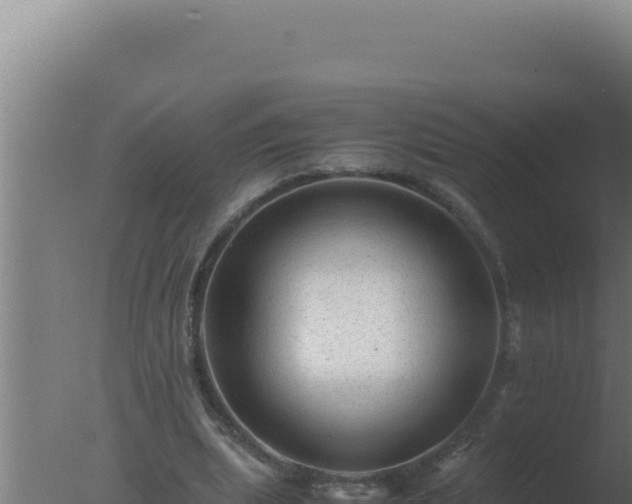 X0000077380439200610271950