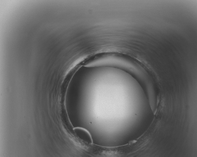 X0000077380440200610271950