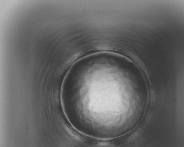 X0000077380441200610271950