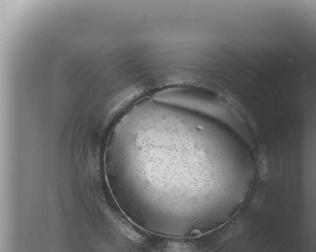 X0000077380442200610271950