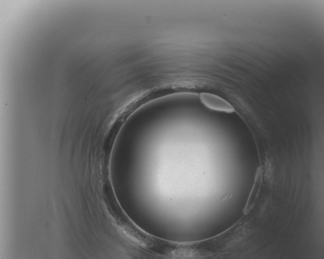 X0000077380444200610271950