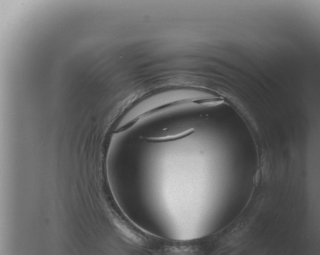 X0000077380445200610271950