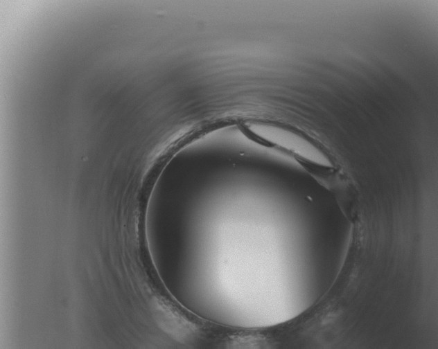 X0000077380446200610271950