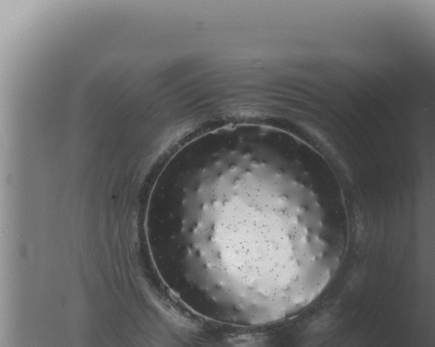 X0000077380447200610271950