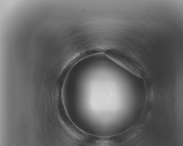 X0000077380448200610271950