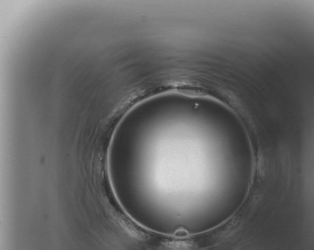 X0000077380449200610271950