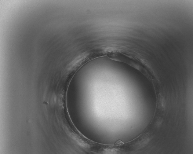 X0000077380450200610271950