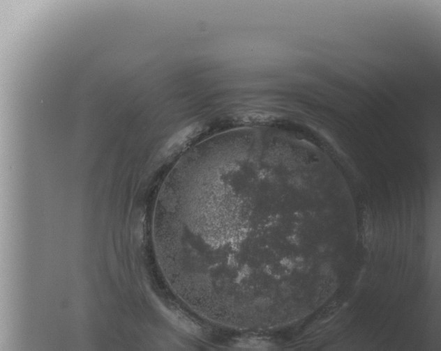 X0000077380451200610271950