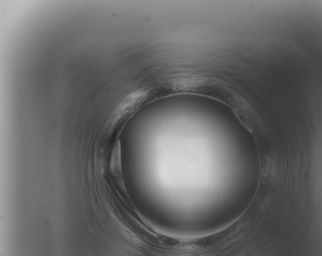 X0000077380452200610271950