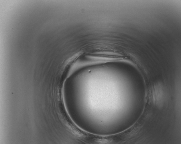 X0000077380453200610271950