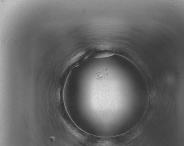 X0000077380454200610271950