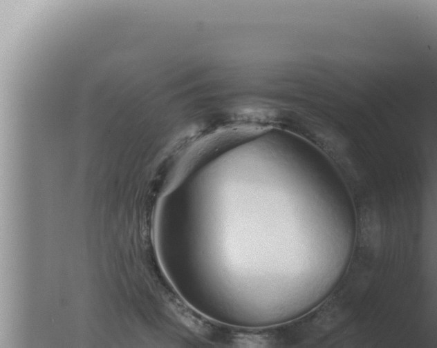 X0000077380457200610271950