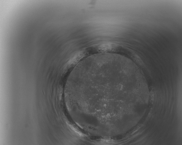 X0000077380458200610271950