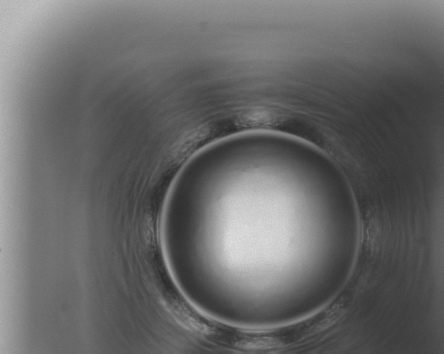 X0000077380459200610271950