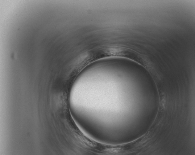 X0000077380461200610271950