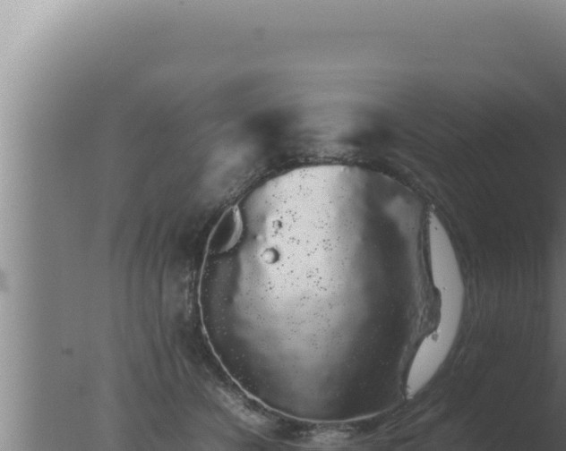 X0000077380462200610271950