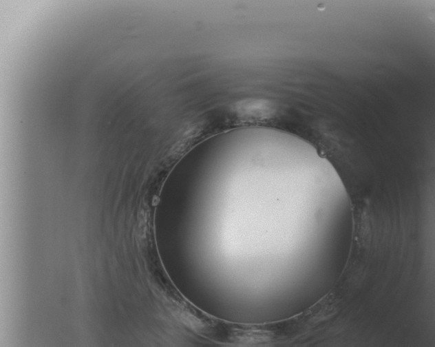 X0000077380463200610271950