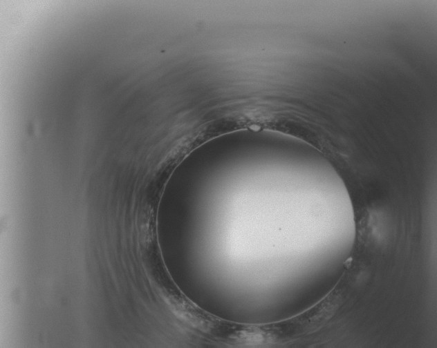 X0000077380464200610271950