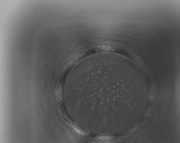 X0000077380465200610271950