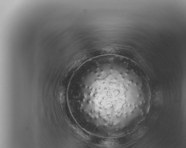 X0000077380466200610271950