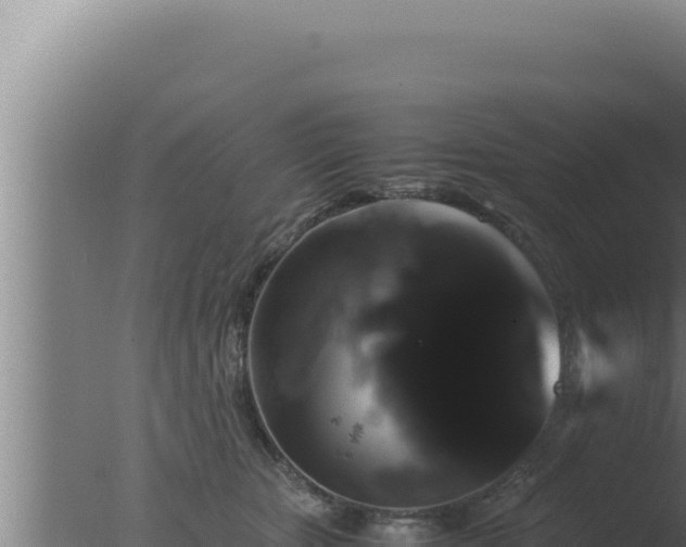 X0000077380467200610271950