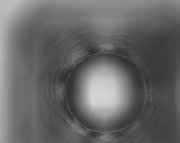 X0000077380468200610271950