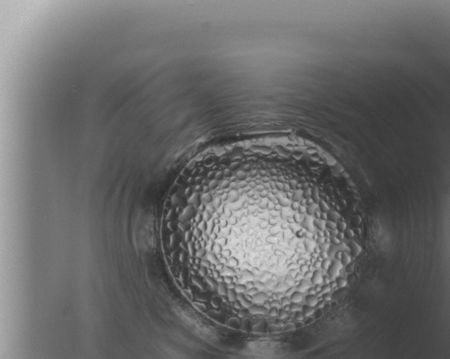 X0000077380470200610271951