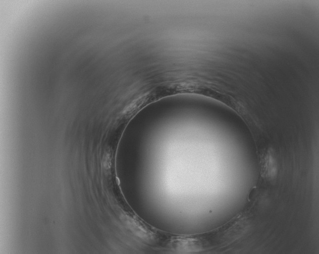 X0000077380472200610271951