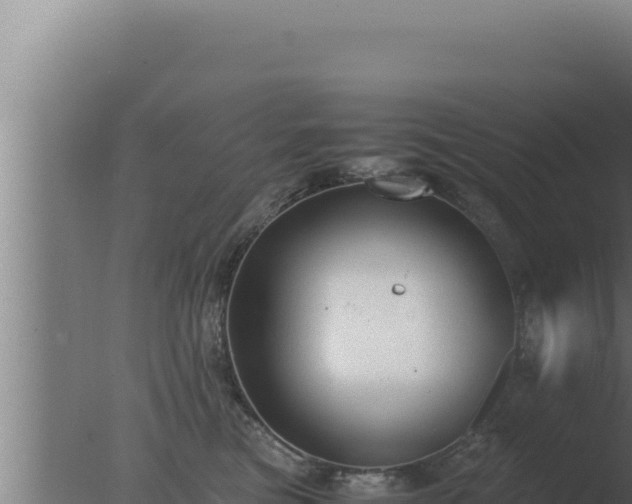 X0000077380473200610271951