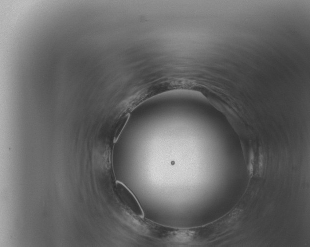 X0000077380474200610271951