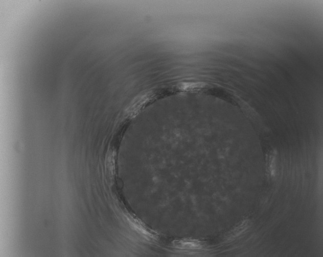 X0000077380475200610271951