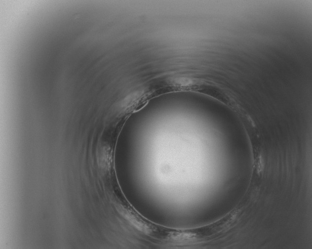 X0000077380476200610271951