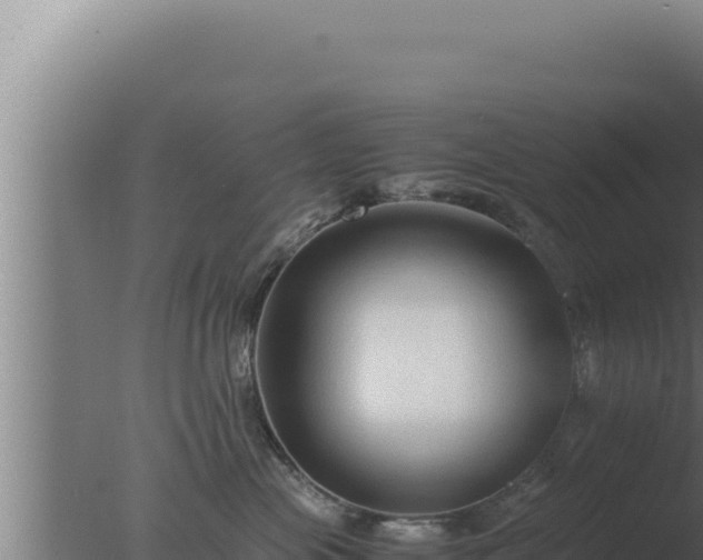 X0000077380477200610271951