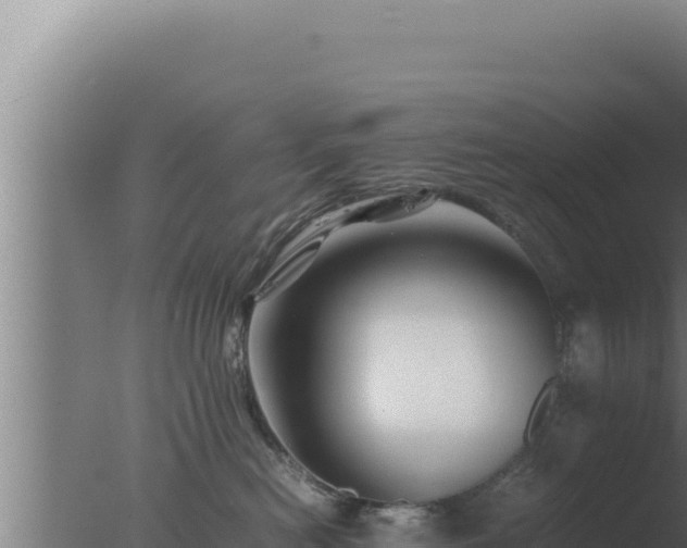 X0000077380478200610271951