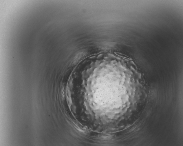 X0000077380479200610271951