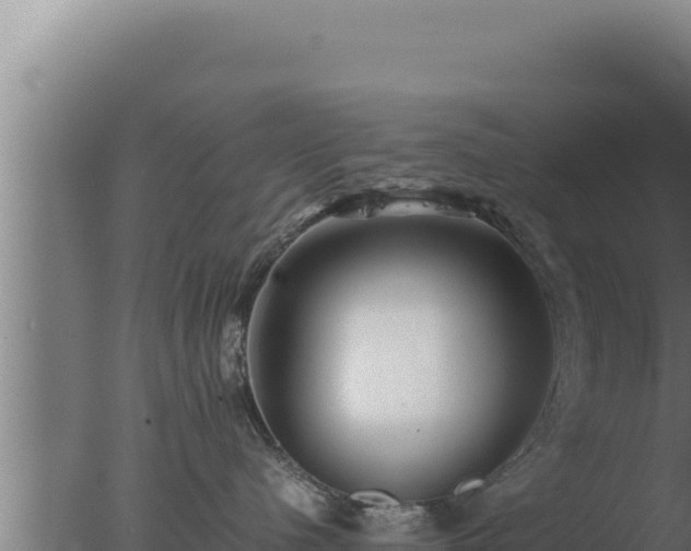 X0000077380480200610271951