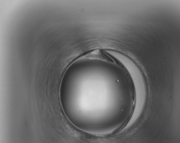 X0000077380481200610271950