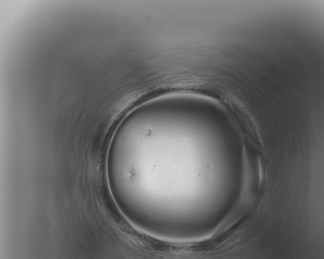 X0000077380483200610271950