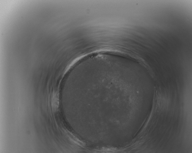 X0000077380484200610271950